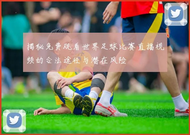 揭秘免费观看世界足球比赛直播视频的合法途径与潜在风险