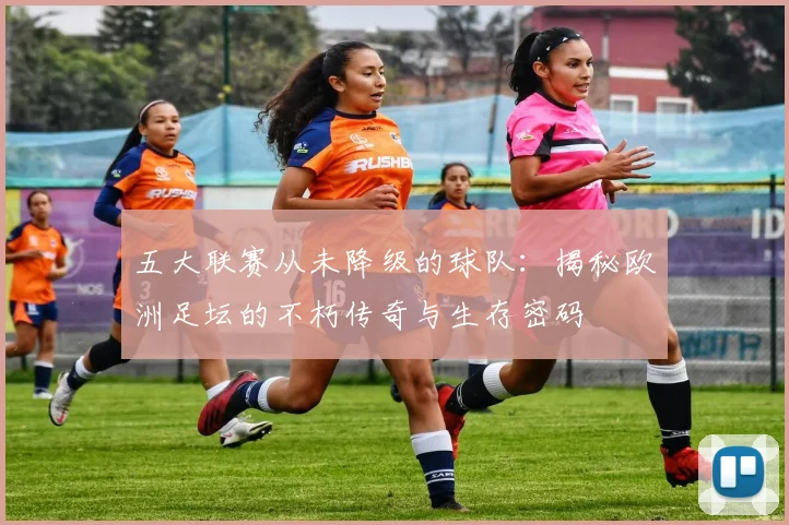 五大联赛从未降级的球队:揭秘欧洲足坛的不朽传奇与生存密码